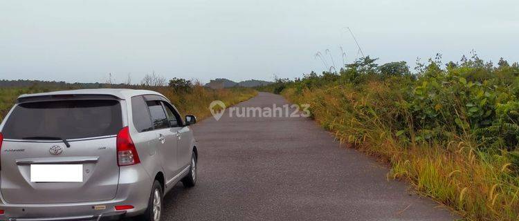 Tanah Cocok Untuk Lahan Sawit Banjarbaru 1