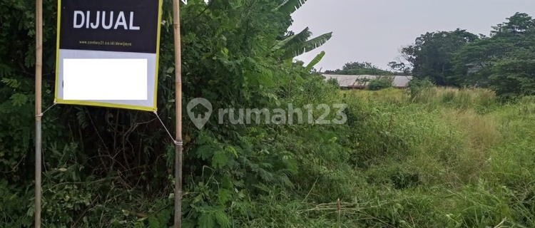 Tanah Kaligandu Dekat Tol Serang Timur Cocok Untuk Pergudangan 1