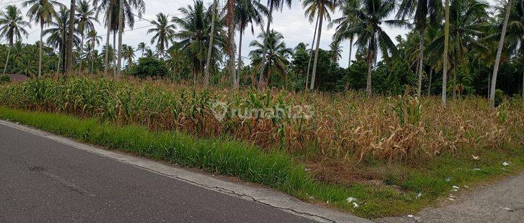 Tanah Strategis Ds Katapiang Padang Pariaman 1