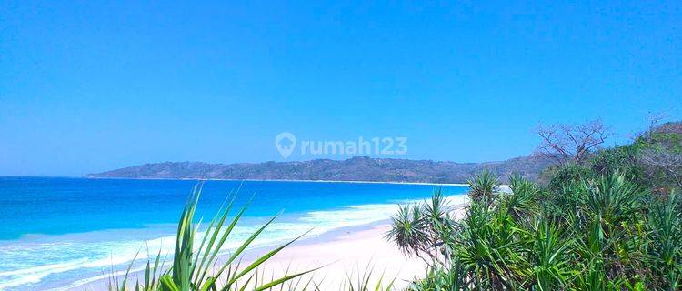Dijual Tanah Pinggir Pantai Pasir Putih Di Sumba Barat 1