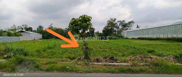 Tanah Sawah Disewakan Luas Bisa Sewa Jangka Panjang Cck Untuk Villa Cafe Area Jongke Mlati Sleman 1