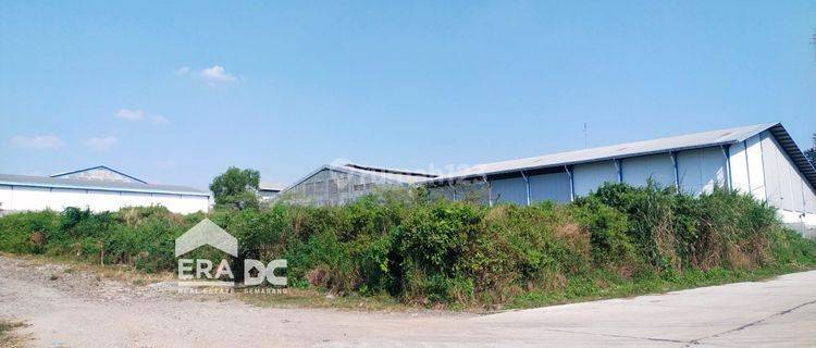 Tanah Hook di Kawasan Industri Candi Semarang 1