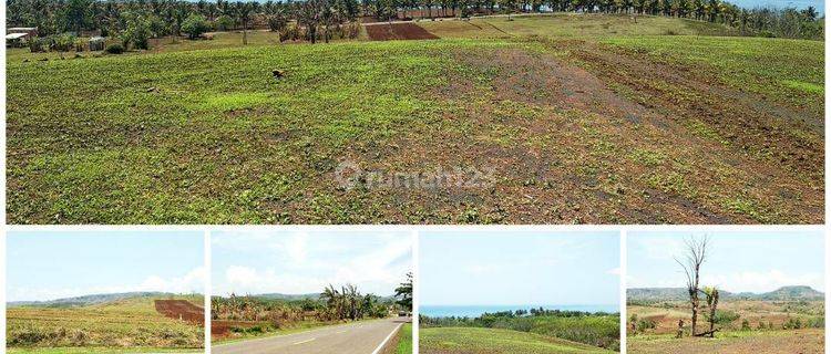 Tanah siap Bangun view pantai di Jl. Raya nasional lintas Selatan Jawa barat  1