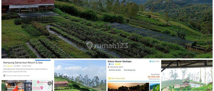 Tanah perkebunan Kamojang Garut cocok untuk Villa, agrowisata, peternakan dan lainnya di Jl. Kamojang Garut 17,5 hectare SHM 1