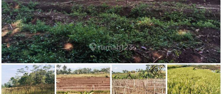 TANAH kebun & Sawah Bandung Barat 25000 m² 1