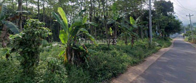 Tanah peruntukan Industri Jateng di kabupaten Batang dekat Tol 1