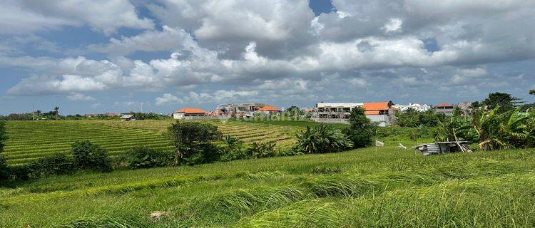 Tanah Mantap View Pemandangan Sawah Membentang Di Tibubeneng 1