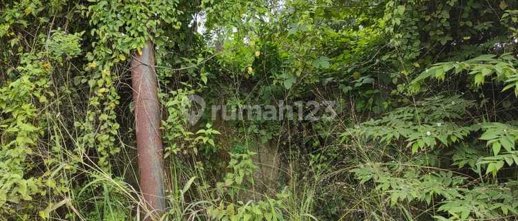 Tanah Komersial 1784 M Dijl. Banka Raya 1