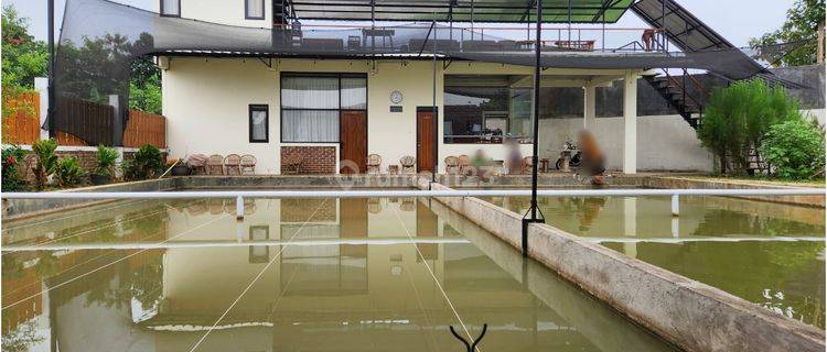 Villa Kolam Pemancingan Strategis Dekat Tol Cileunyi Bandung 1