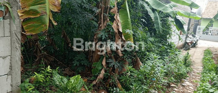 TANAH LAHAN KP CURUG CIKARET DEKAT SETU CIBINONG 1