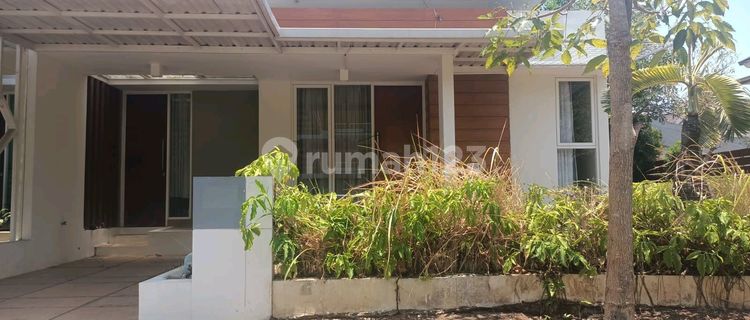 Rent Ivy Park BSB House Semarang 1