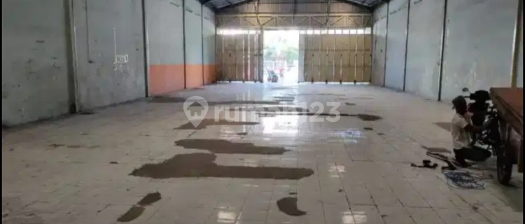 For sale/rent Elephant Warehouse East Semarang 1