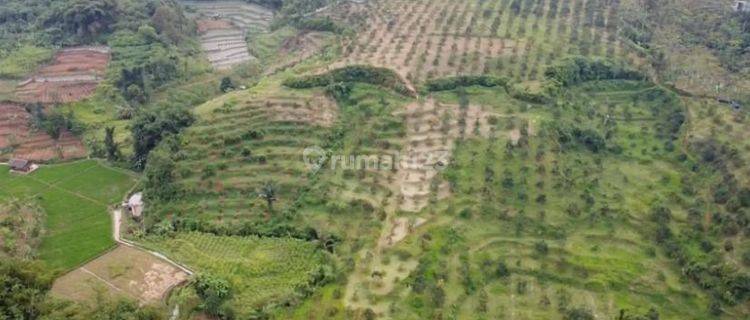 Tanah Perkebunan Luas 12 hectare di Parung Kuda Sukabumi  1