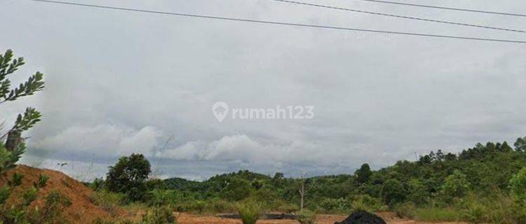 Tanah Harga Dibawah Njop Di Sepaku,Penajam Paser Utara,Kalimantan Timur 1