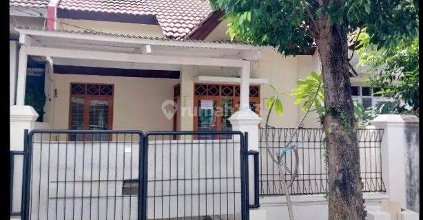 Rumah Tinggal Nusaloka Sewa per 2tahun siap huni 1