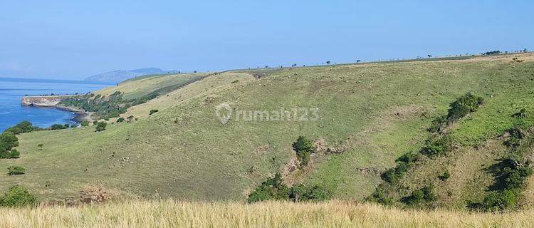 Di Jual Tanah Bukit Langsung Pantai View Laut Di Lembor Selatan 1