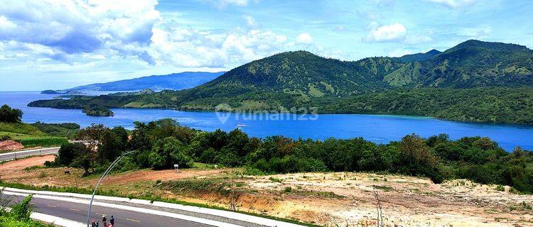 Di Jual Tanah Bukit View Laut Di Lekong Mbu Desa Warloka 1