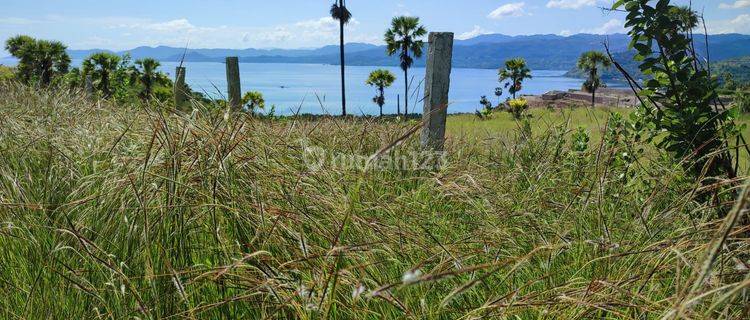 Di Jual Tanah Bukit View Laut di Wae Cicu Labuan Bajo 1