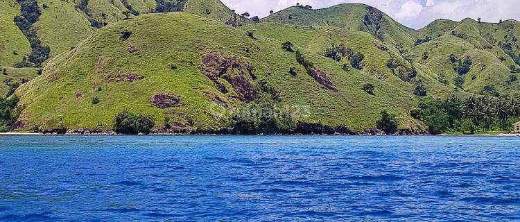 Di Jual Tanah Bukit Langsung Pantai Menjaga Labuan Bajo 1