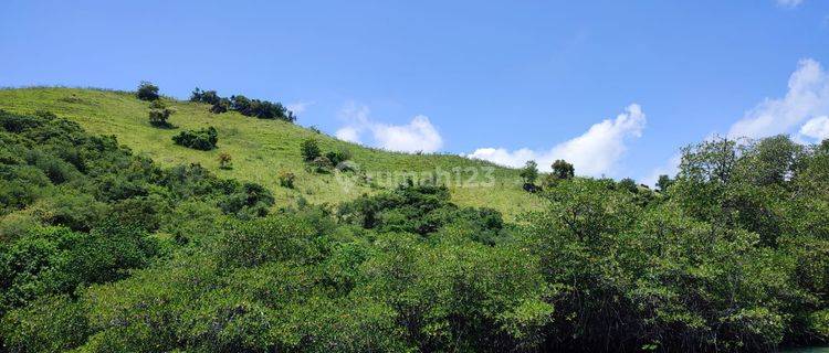 Di Jual Tanah Bukit Langsung Pantai Menjaga Labuan Bajo 1