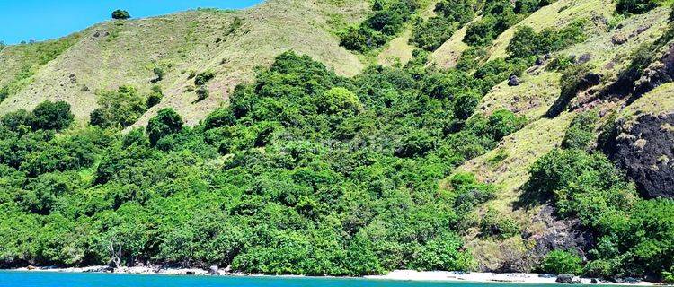 Jual Tanah Bukit Langsung Pantai di Labuan Bajo 1