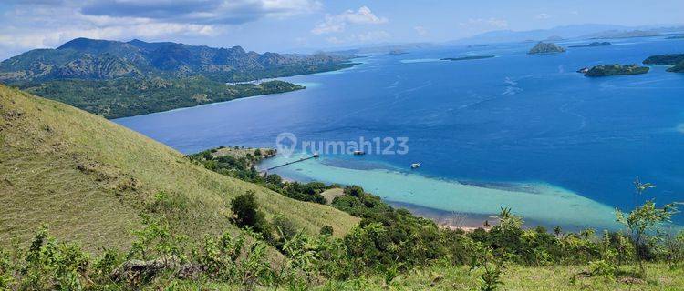 Di Jual Tanah Bukit Langsung Panta Di Warloka Labuan Bajo 1