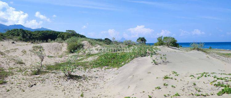 Di Jual Tanah Los Pantai di Lembor Selatan 1