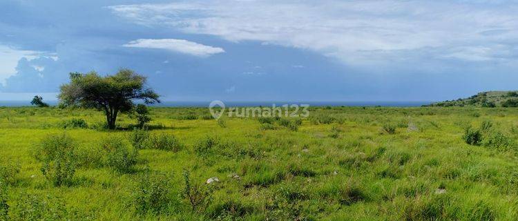 Di Jual Tanah View Laut Di Sumba Timur 1