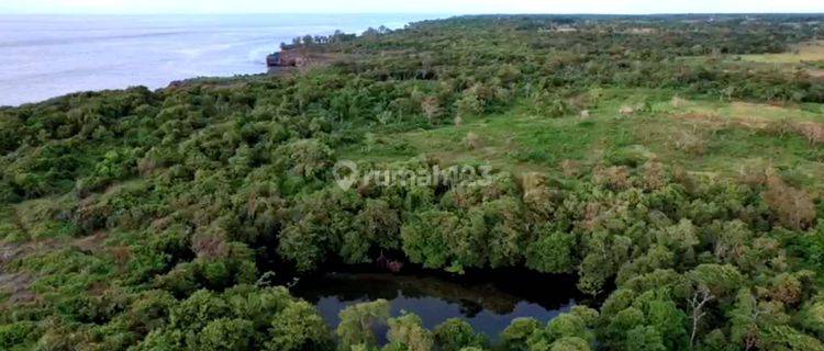 Di Jual Tanah Los Tebing di Sumba Barat Saya 1