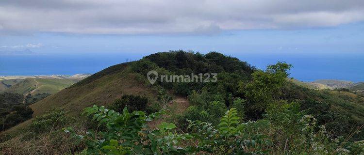 Di Jual Tanah Perkebunan di Lembor Selatan View Laut 1