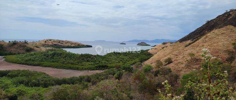 Di Jual Tanah Bukit View Laut di Wae Cicu Labuan Bajo 1