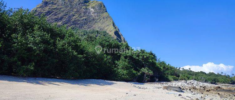 TANAH KHUSUS INVESTASI .DI JAUL TANAH LOAS PANTAI 1