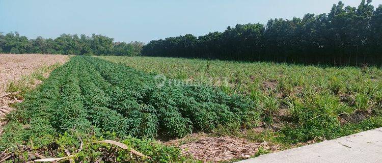 Kavling industri bisa perluas sampe 9 ha puri mojokerto  1