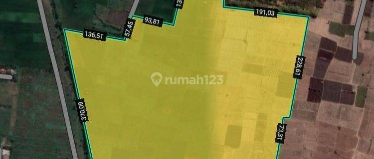 Kavling Industri Raya Lengkong Nganjuk Luas 8 Ha - 19 Ha 1