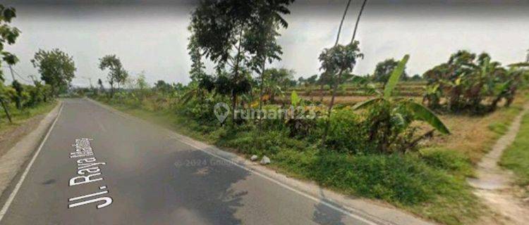 Kavling Startegis Raya Mantup Lebar Lamongan 1
