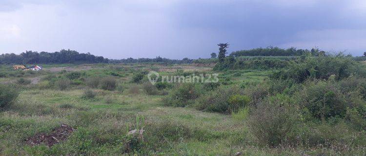 Kavling Perkebunan /perumahan Sukorejo Dekat Wisata Kebun Kurma 1