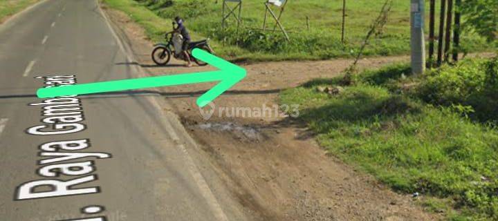 DI JUAL CEPAT TANAH MATANG MURAAH JL: GAMBANGSARI PAGADEN KABUPATEN SUBANG 1