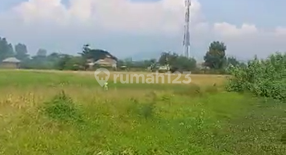 Tanah Luas di Rancaekek Cocok Untuk Perumahan Dan Industri 1
