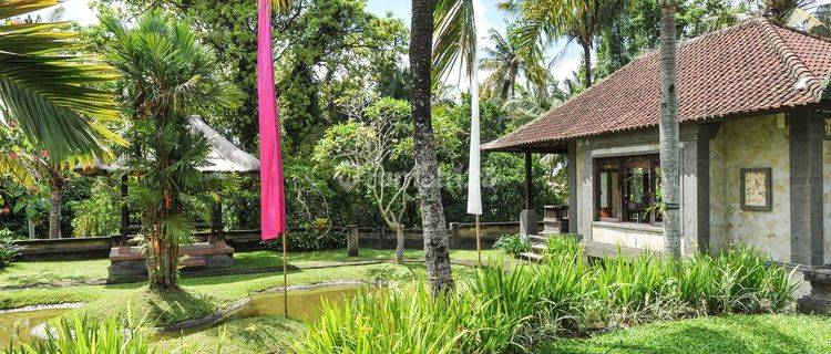 Tanah Premium View Gunung Beli Tanah Dapat 2 Bungalow di Ubud Bali 1