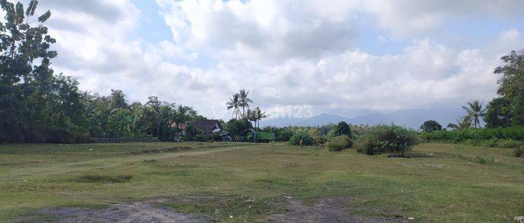 Cheap Strategic Land in Tegal Badeng Jembrana Bali 1