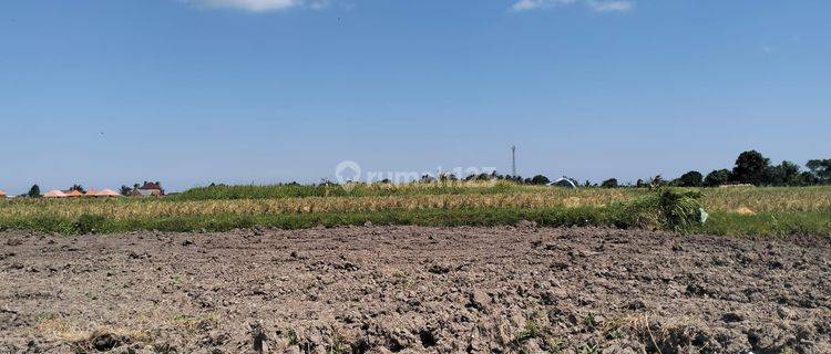 Tanah Luas View Sawah Dan Sungai di Kedungu Bali 1