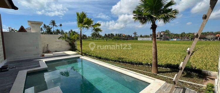 Luxury Villa Murah Full View Sawah di Jalan Raya Ubud, Kemenuh, Gianyar beserta SHM 1