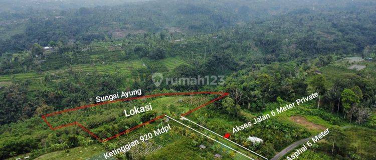 Tanah Super Murah Pinggir Jalan Los Sungai Ayung Payangan 1