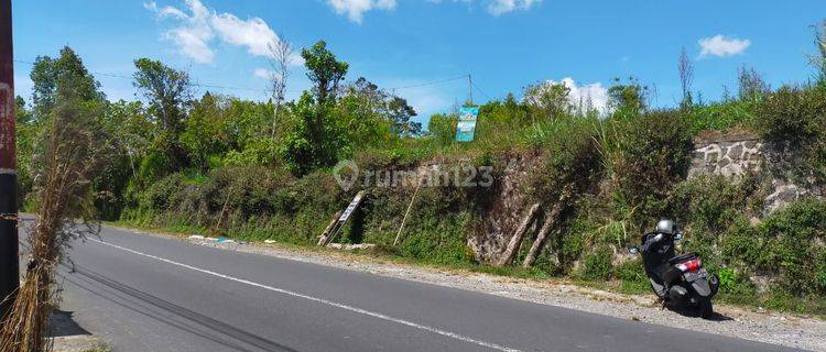 Land on the side of Kintamani main road, full view of lakes and mountains 1