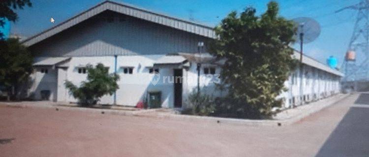 Gudang ex Pabrik PT Aneka Sukses P 1