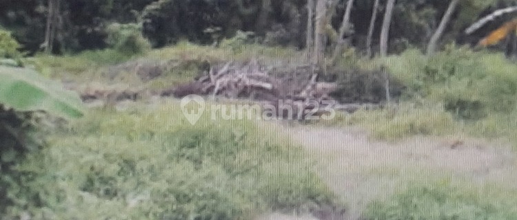 Tanah Kosong Satu Hamparan 1