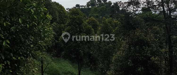 Tanah Shm 1886.0 M² Di Tamansari Bogor Jawa Barat 1