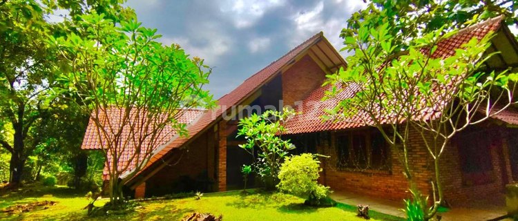 Artistic Serene Roadside House in Ciganjur, South Jakarta 1