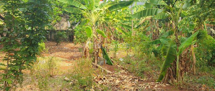 Tanah Datar Termurah 3000 Meter Duren Jaya Bekasi  1