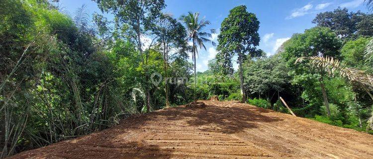 LAND FOR SALE IN PAYANGAN UBUD GIANYAR BALI 1